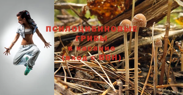каннабис Абаза