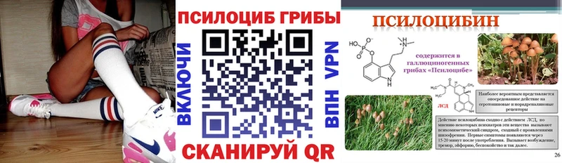 хочу   Иркутск  Галлюциногенные грибы Psilocybe 
