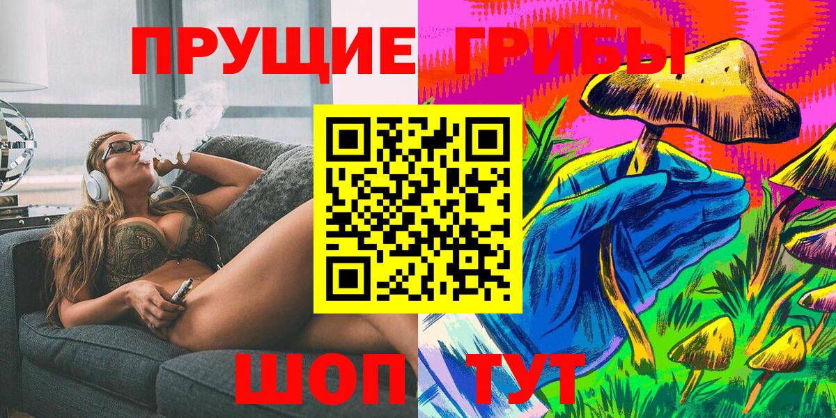 Псилоцибиновые грибы Psilocybe Иркутск