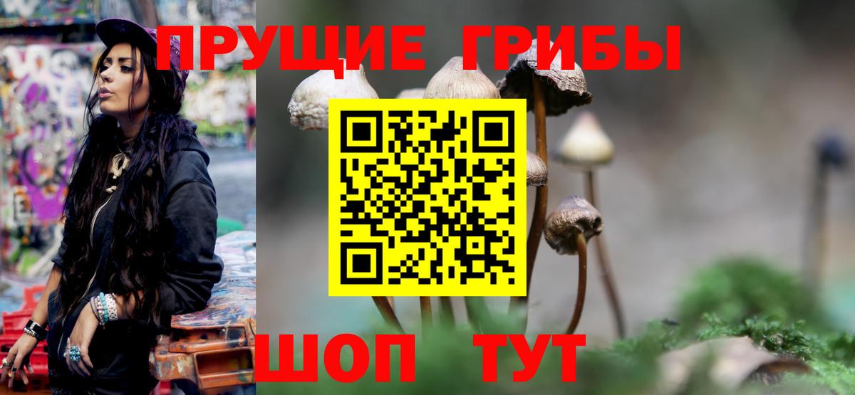где купить наркоту  Вход с VPN  Иркутск  Галлюциногенные грибы ЛСД 